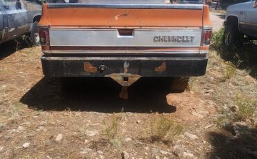Chevy-silverado-1500-1975-orange-6