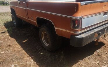 Chevy-silverado-1500-1975-orange-7