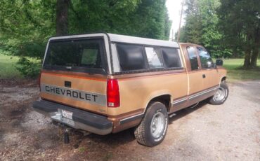 Chevy-silverado-1500-1990-brown-5