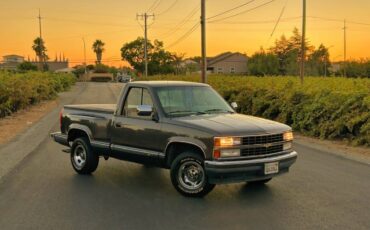 Chevy-silverado-1500-1991-grey-63