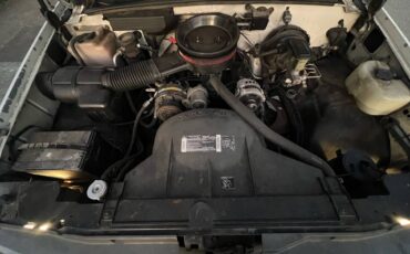 Chevy-silverado-1500-1994-white-15