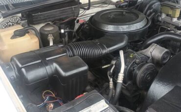 Chevy-silverado-1500-1994-white-4