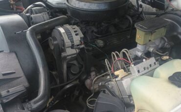 Chevy-silverado-1500-1994-white-5