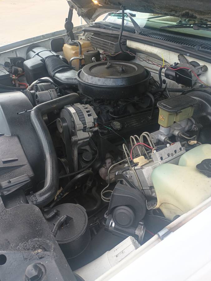 Chevy-silverado-1500-1994-white-5