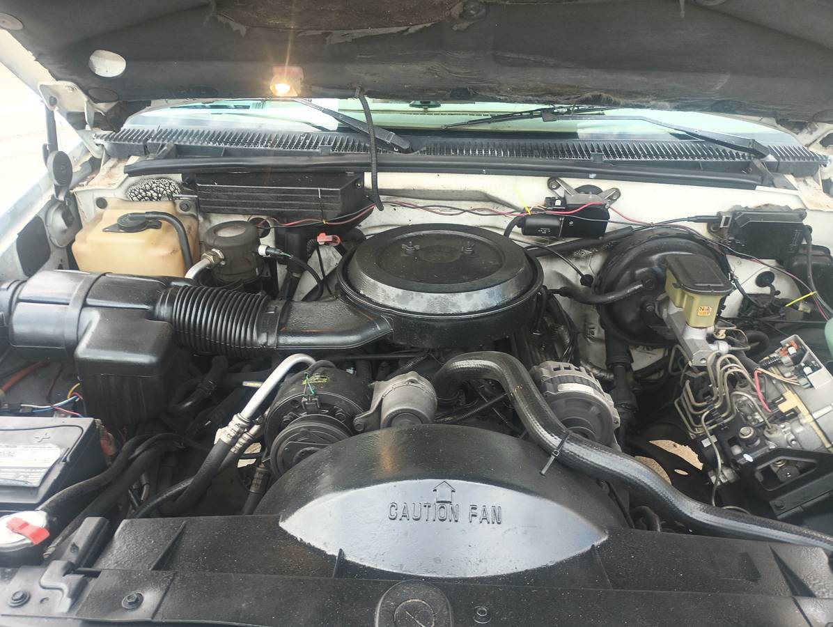Chevy-silverado-1500-1994-white-6