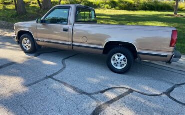 Chevy-silverado-1500-1995-brown-2