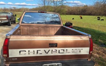 Chevy-silverado-1500-diesel-1994-brown-7