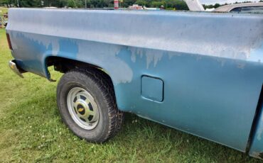 Chevy-silverado-1976-8