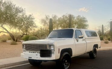 Chevy-silverado-1977-11