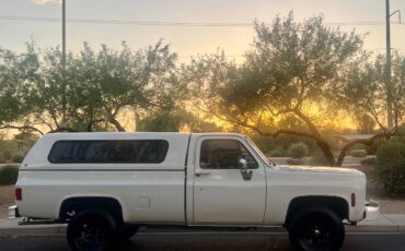 Chevy-silverado-1977-5