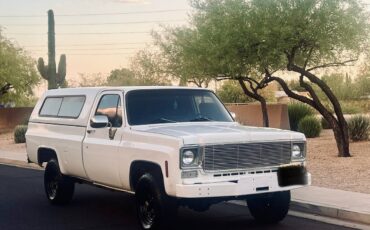 Chevy-silverado-1977-6