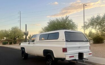 Chevy-silverado-1977-9