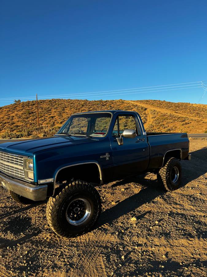 Chevy-silverado-1981-blue-6