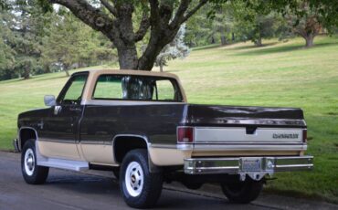 Chevy-silverado-1984-brown-2