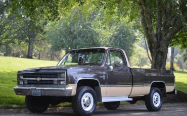Chevy-silverado-1984-brown-22