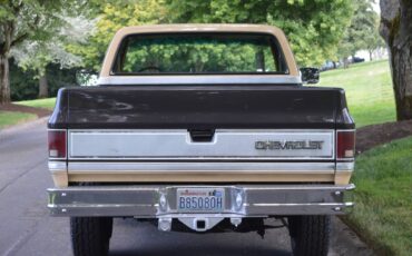 Chevy-silverado-1984-brown-3