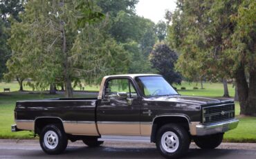 Chevy-silverado-1984-brown-4