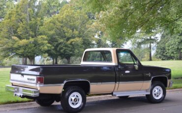 Chevy-silverado-1984-brown-6