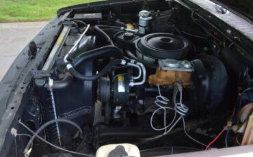 Chevy-silverado-1984-brown-9