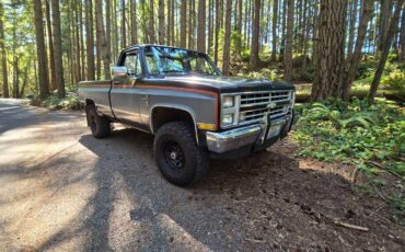 Chevy-silverado-1987-5