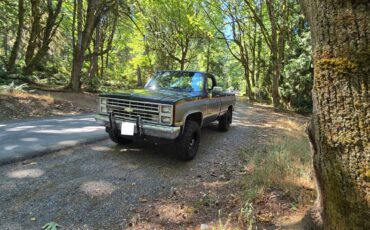 Chevy-silverado-1987-6