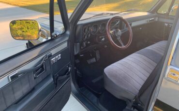 Chevy-silverado-c10r10-1987-grey-2