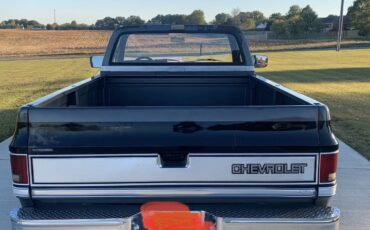 Chevy-silverado-c10r10-1987-grey-5