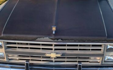 Chevy-silverado-c10r10-1987-grey-7
