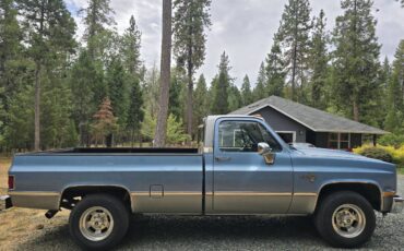 Chevy-silverado-c20-1985-blue-2