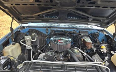 Chevy-silverado-c20-1985-blue-9