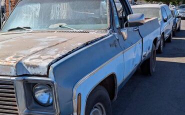 Chevy-silverado-deluxe-1977-3