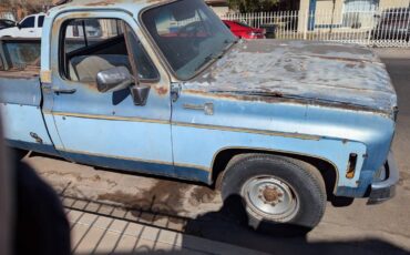 Chevy-silverado-deluxe-1977-5