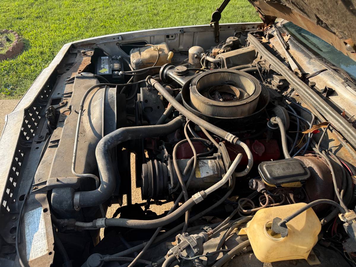Chevy-ss-el-camino-1978-silver-1