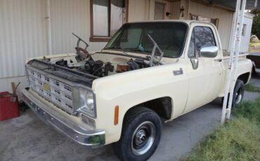 Chevy-stepsid-c10-custom-deluxe-1976-yellow-21