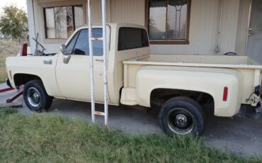 Chevy-stepsid-c10-custom-deluxe-1976-yellow-3