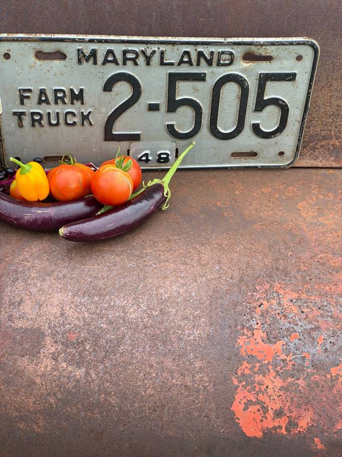 Chevy-truck-1948-purple-20