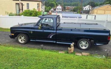 Chevy-truck-1983-blue-4