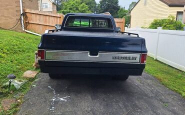 Chevy-truck-1983-blue-5