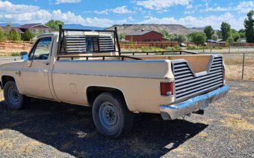 Chevy-truck-1985-11