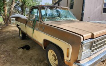 Chevy-truck-c-10-1980-custom-1