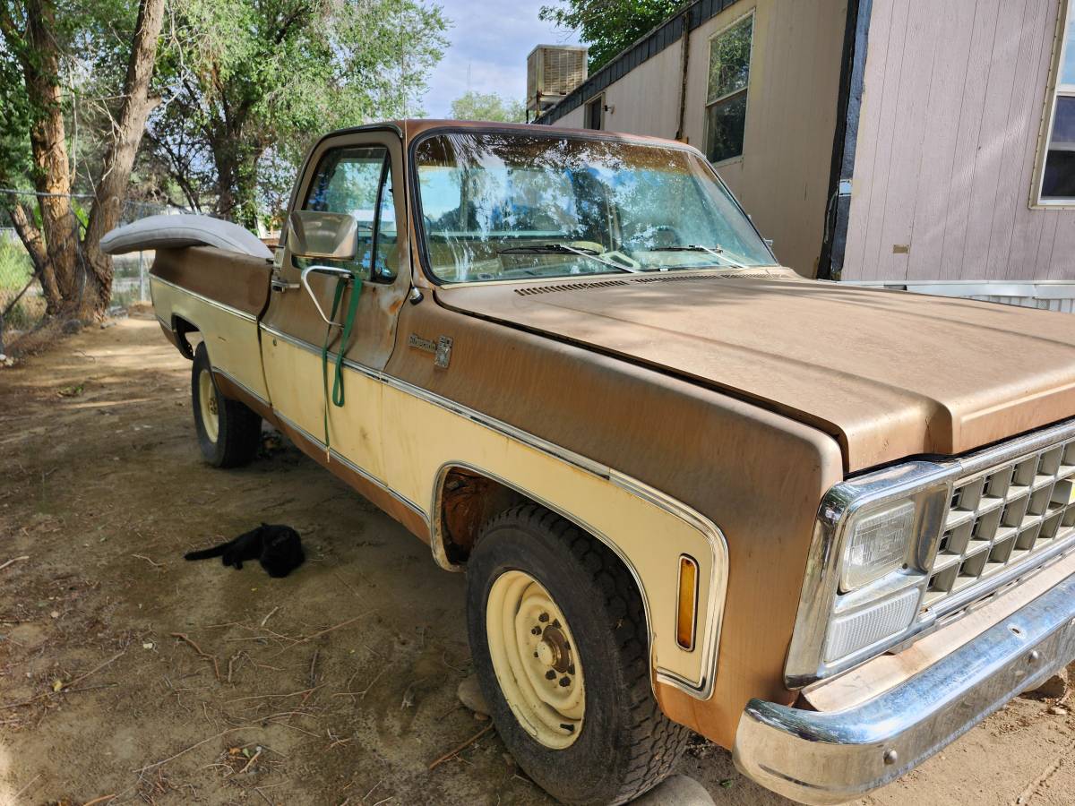Chevy-truck-c-10-1980-custom-1