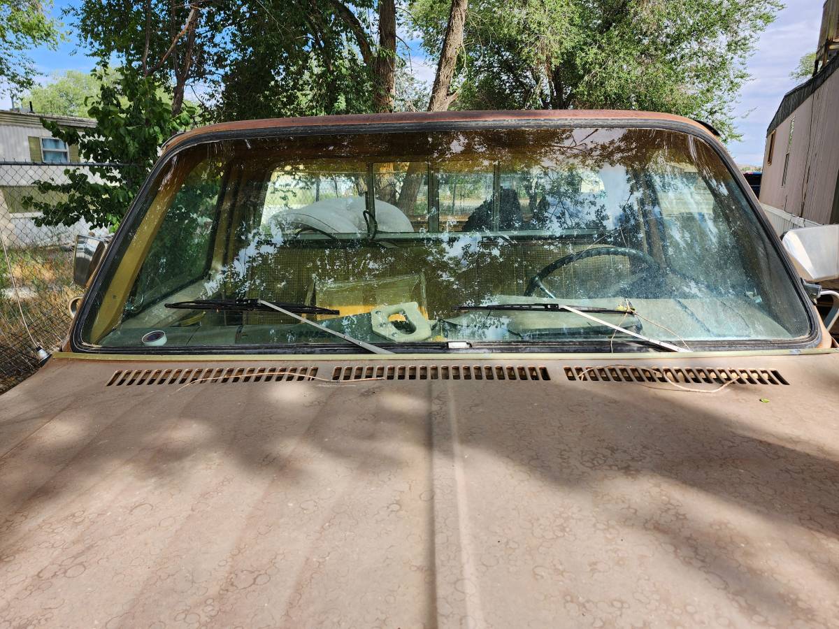 Chevy-truck-c-10-1980-custom-2