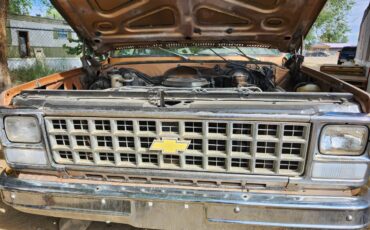 Chevy-truck-c-10-1980-custom-3