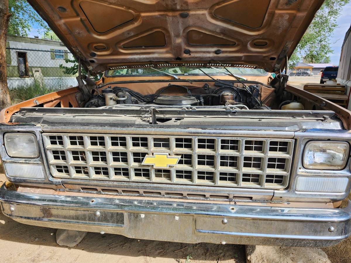 Chevy-truck-c-10-1980-custom-3