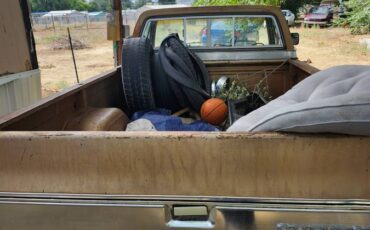 Chevy-truck-c-10-1980-custom