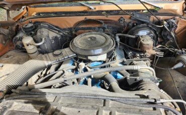 Chevy-truck-c-10-1980-custom-4