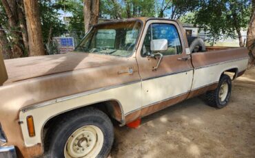 Chevy-truck-c-10-1980-custom-5