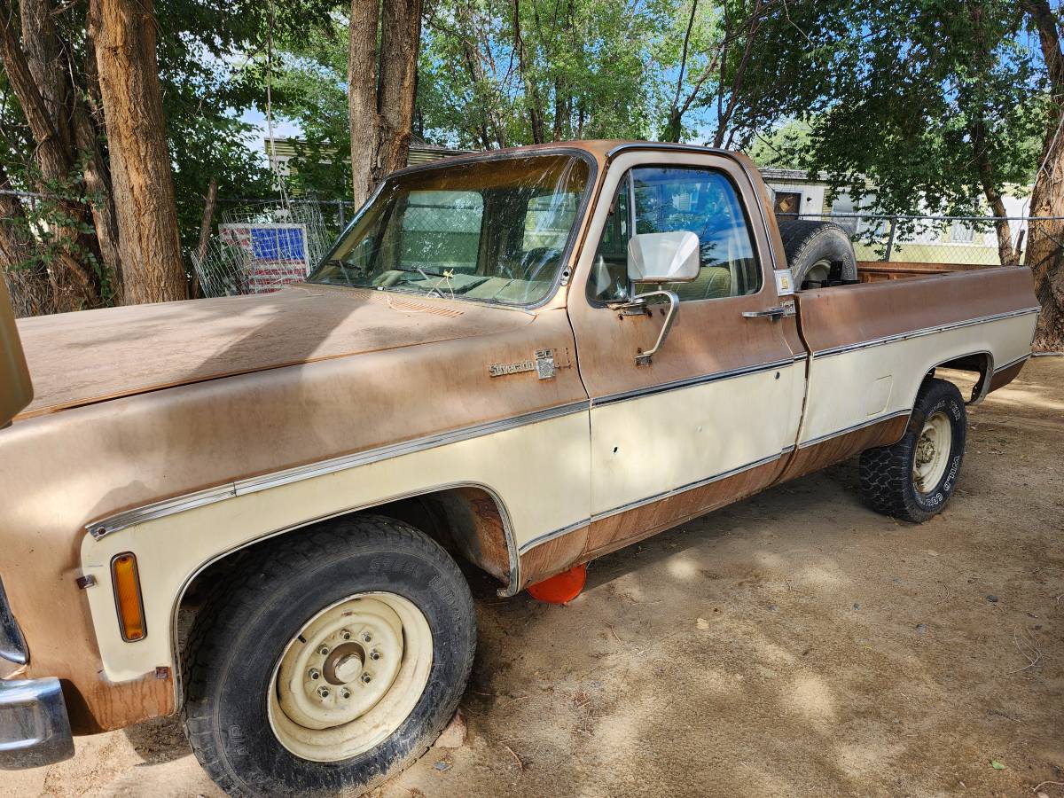 Chevy-truck-c-10-1980-custom-5