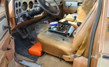 Chevy-truck-c-10-1980-custom-6