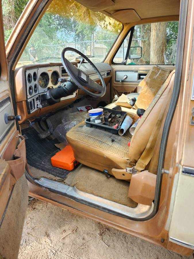Chevy-truck-c-10-1980-custom-6